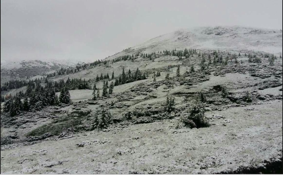 Примхи погоди: на Рахівщині засніжило