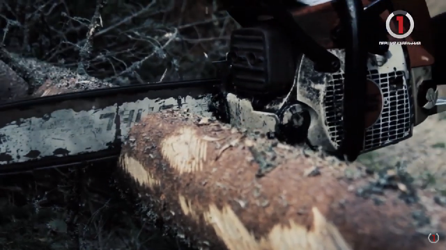 Будні закарпатських лісівників: на "Першому кабельному" стартує новий проект (ВІДЕО)