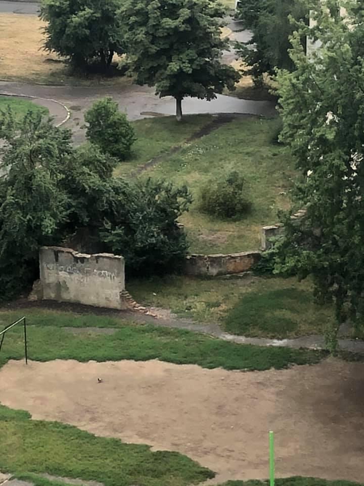 "Родзинка" ужгородського двору (ФОТО)