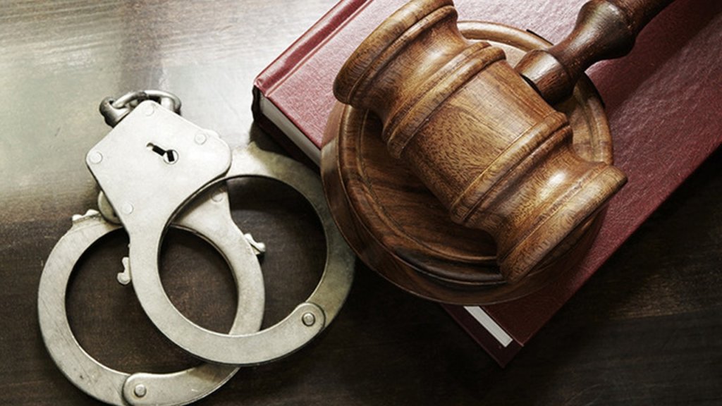 У справі незаконної вирубки деревини на Закарпатті відкрито кримінальне провадження