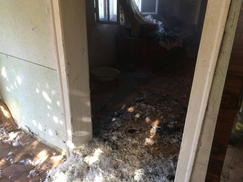 Вогнеборці показали наслідки пожеж на Виноградівщині (ФОТО)