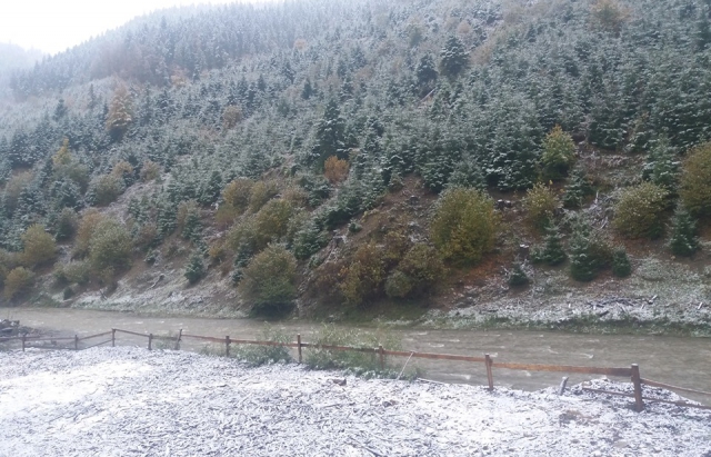 Синевір вкрила біла ковдра снігу (ФОТО)