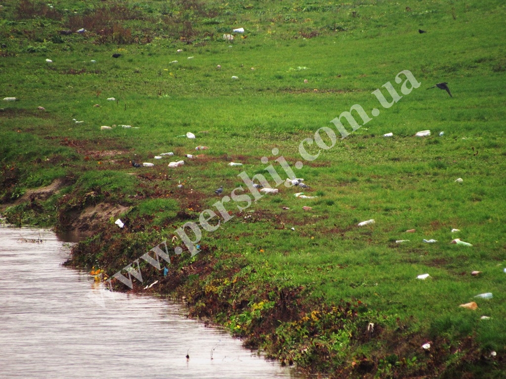 Води Латориці принесли в Мукачево купу пляшок та сміття (ФОТО)