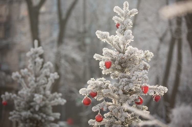 Прогноз погоди для закарпатців на передостанній день року