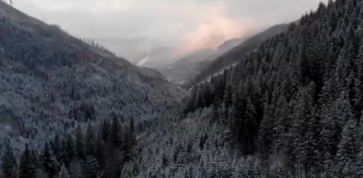 Ліси Тячівщини з висоти пташиного польоту (ВІДЕО)