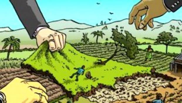 Нардеп із Закарпаття: "Ми не дозволили владі провести земельний бліцкриг" - Думка