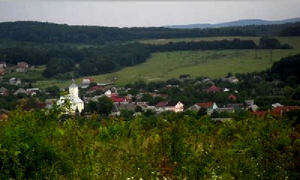 Жителі Мукачівщини розповіли про депутата райради Артура Пашкуляка (ВІДЕО)