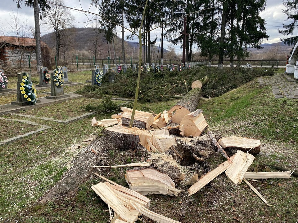 На Перечинщині вітер повалив дерева на кладовищі (ФОТО)