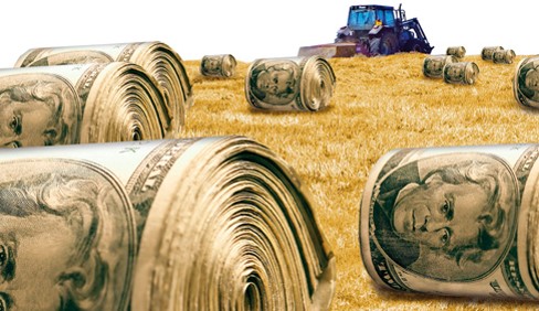 Глава аграрного комітету ВР назвав стартову ціну гектара землі