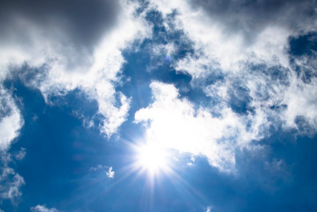 Різке потепління в Україні принесло нову небезпеку (ФОТО)