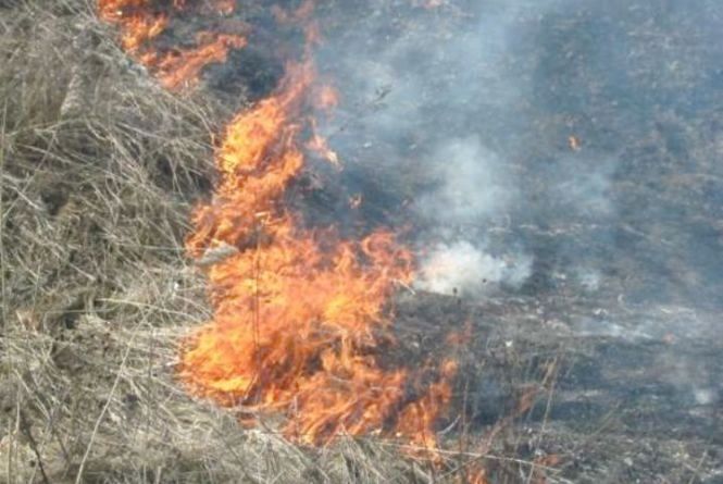 Масштабна пожежа у Ракошині: горять поля (ВІДЕО)