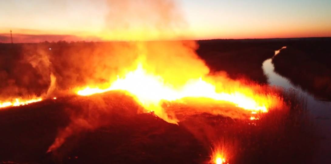 Від влади вимагають відставки чиновників, нездатних впоратися з пожежами та екологічною катастрофою - Заява