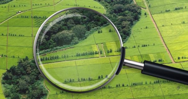 Господарі «Слуг народу» вимагають переглянути закон про ринок землі - Думка