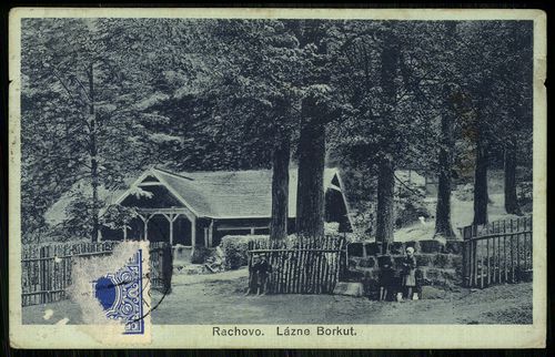 Закарпатський Давос: історія одного містечка (ФОТО)