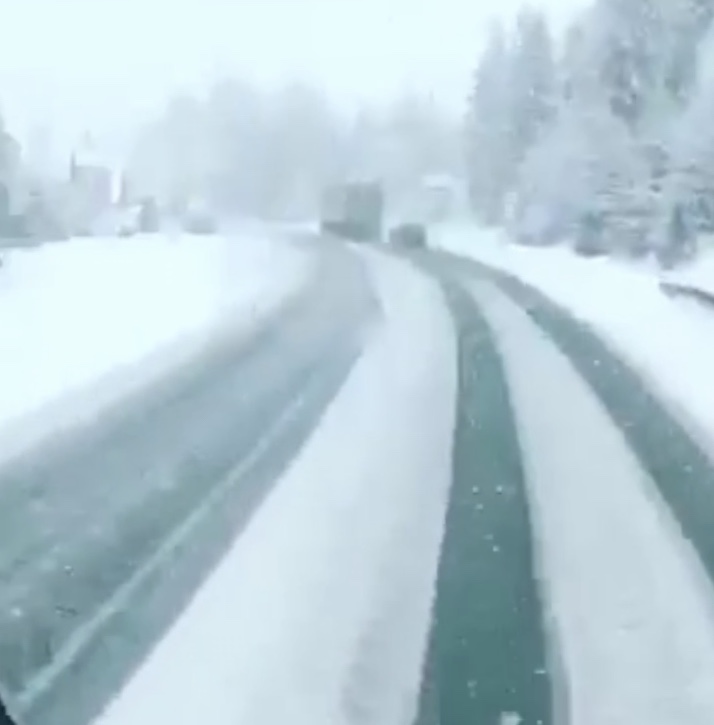 Аномальна весна: Закарпаття в травні засипає снігом (ВІДЕО)
