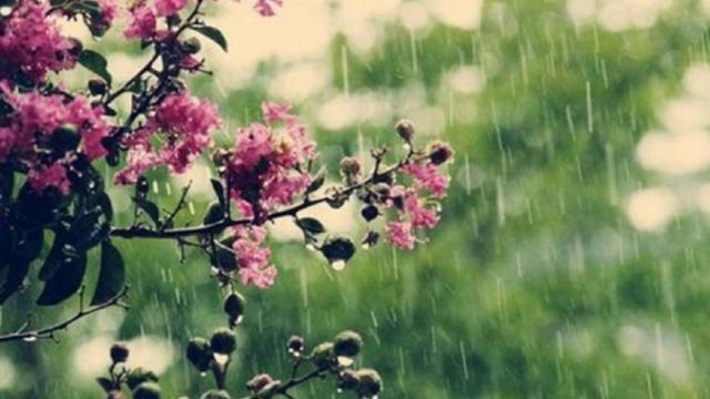 Яка погода очікує на Закарпаття 5 травня, та що кажуть народні прикмети