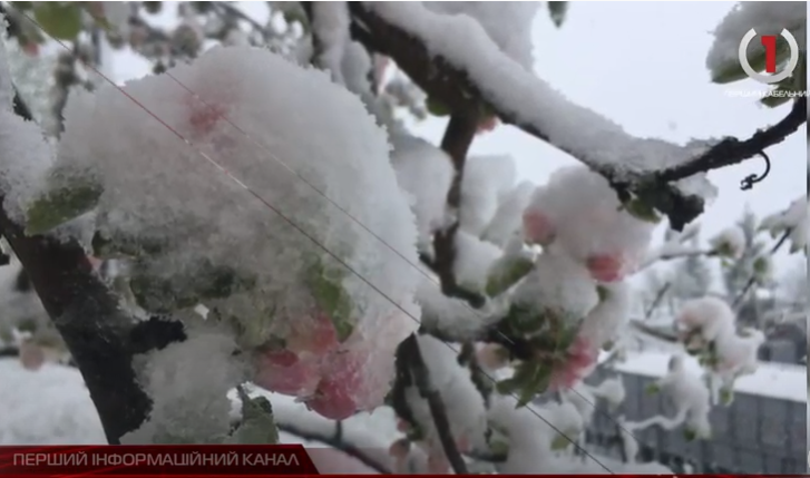 Прогноз негоди: синоптики розповіли, коли слід чекати потепління на Закарпатті (ВІДЕО)