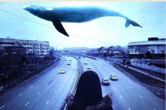 Українець у Польщі грав з дітьми у "Синього кита" і закликав їх до самогубства