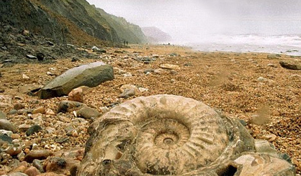 «Наші за кордоном»: запрошуємо побачити пляж Юрського періоду