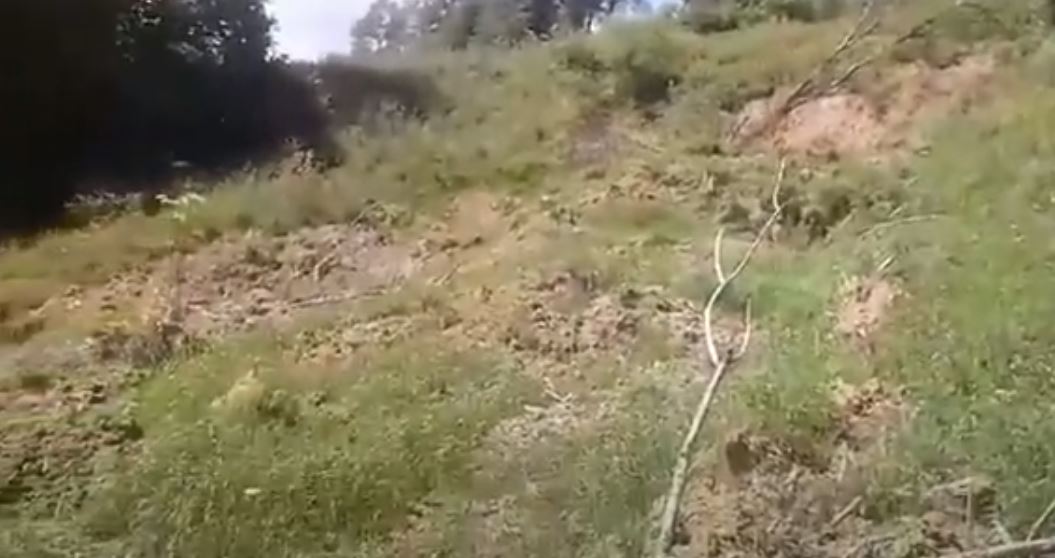 Понад півтора гектари: вражаючі кадри зсуву на Закарпатті (ВІДЕО)