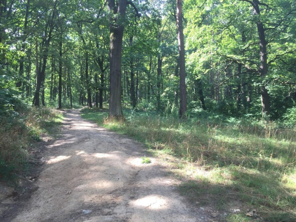 Шахтинський парк в Ужгороді: містяни підписують петицію щодо створення зеленої зони (ФОТО)