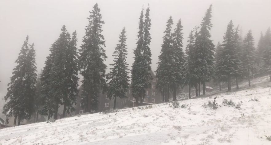Зима близько: Рахівщину вкрило білою ковдрою снігу (ВІДЕО)