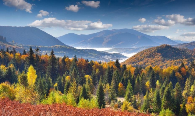 Що чекати закарпатцям від погоди на цьому тижні