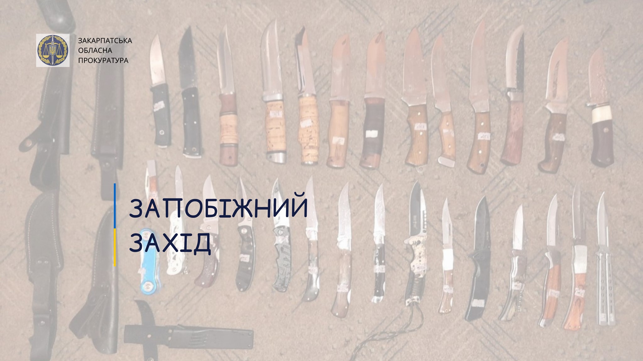 На Рахівщині взято під варту трьох осіб за підозрою у вчиненні крадіжки