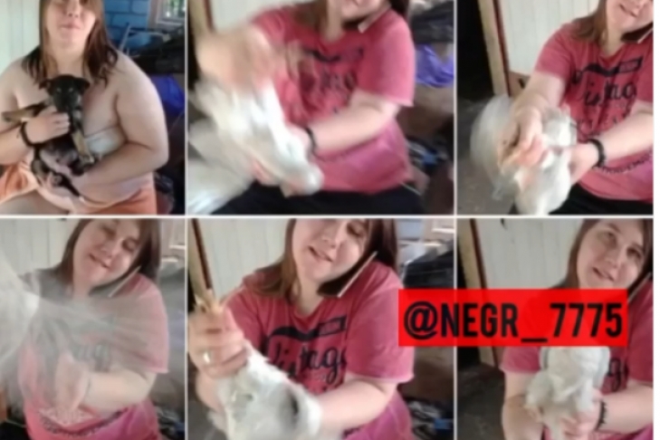 Знімала на камеру катування і порно з тваринами: під Запоріжжям живодерка отримала реальний тюремний термін