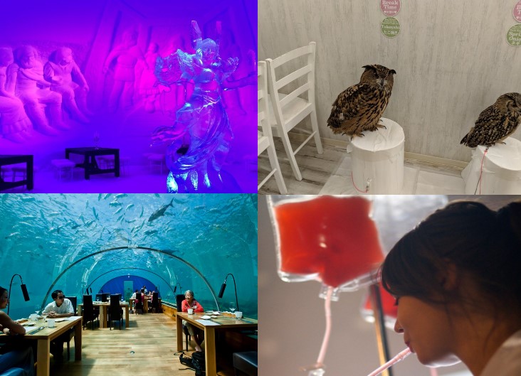 Лікарня, іглу і туалет: 7 незвичних та концептуальних кафе і ресторанів з усього світу