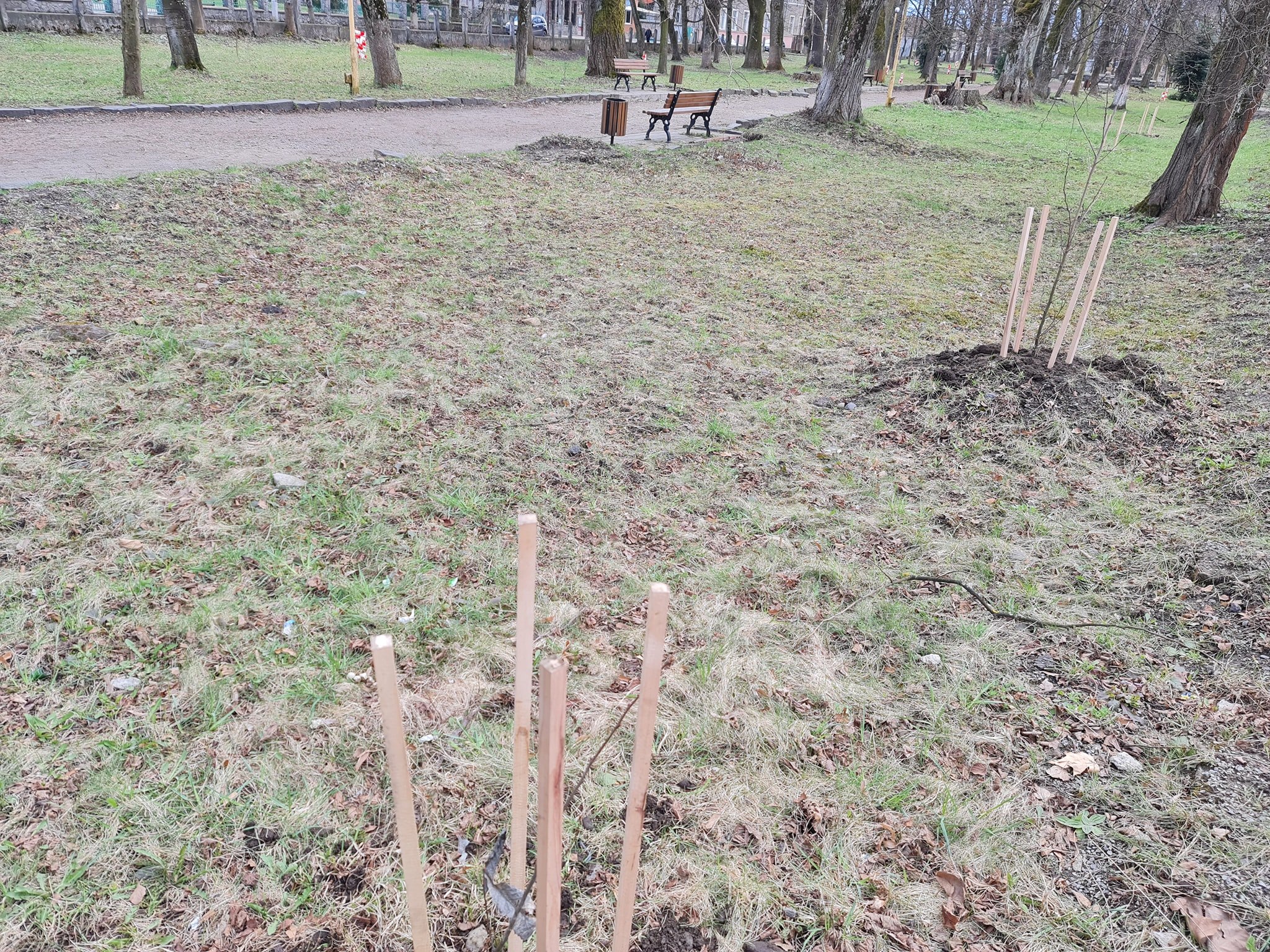 На Березнянщині невідомі руйнують паркову зону (ФОТО)