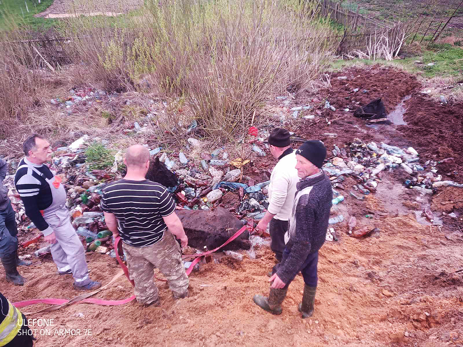 Застрягли по самісіньку голову: на Закарпатті бійці ДСНС рятували коней, які провалились в трясовину (ФОТО)