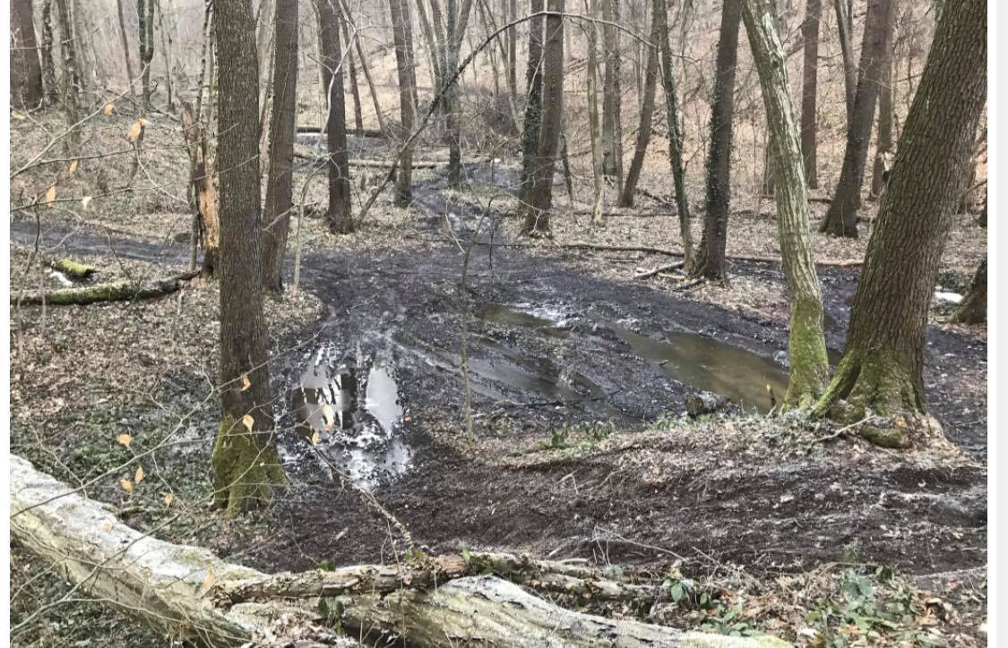 «Ні» знищенню Карпат: фракція «ОП-ЗЖ» в облраді ініціювала розгляд питання щодо доцільності «джипінгу» на Закарпатті