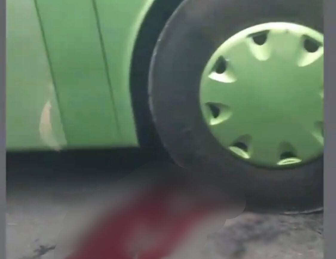 На Берегівщині нетверезий чоловік кинувся під колеса пасажирського автобуса (ВІДЕО)