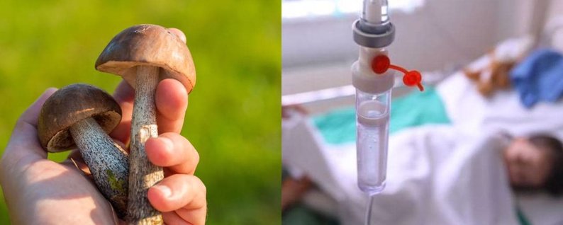 Трагедія у Чернігові: 7-місячний хлопчик та 5-річна дівчина померли після того,  як наїлися грибної юшки