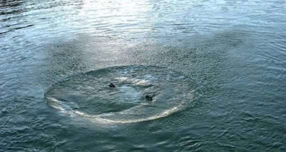 На Ужгородщині у водоймі виявили труп людини