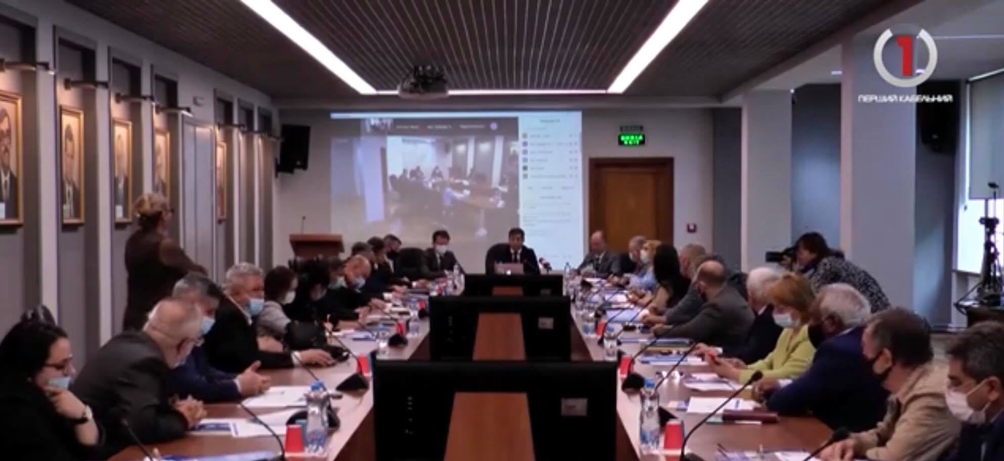 Статус русинів та їх визнання: підсумки робочого візиту Голови Комітету ВРУ з питань прав людини (ВІДЕО)